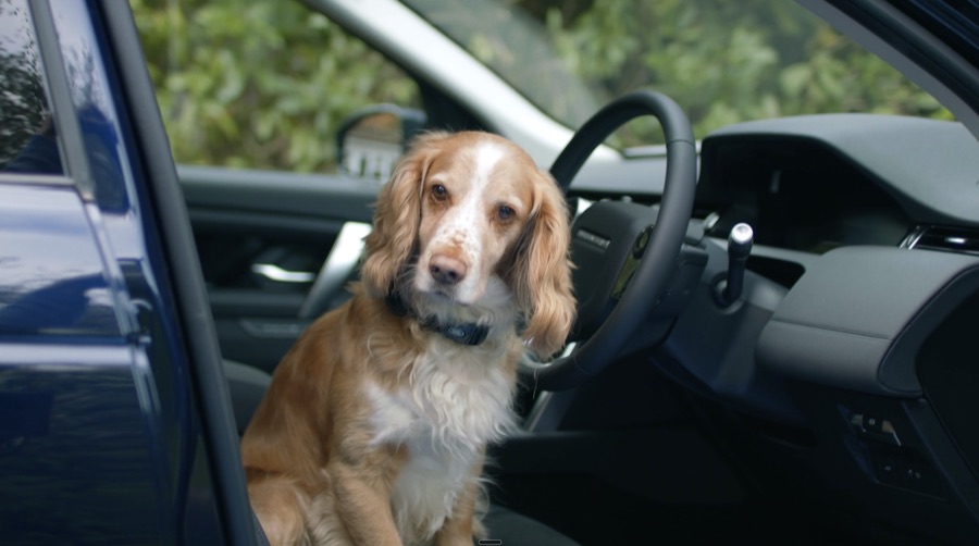 Land Rover Discovery Sport — film still 1